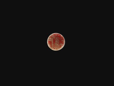 Lot 121 - FOUR AGATE SEALS, MID-QING TO REPUBLIC