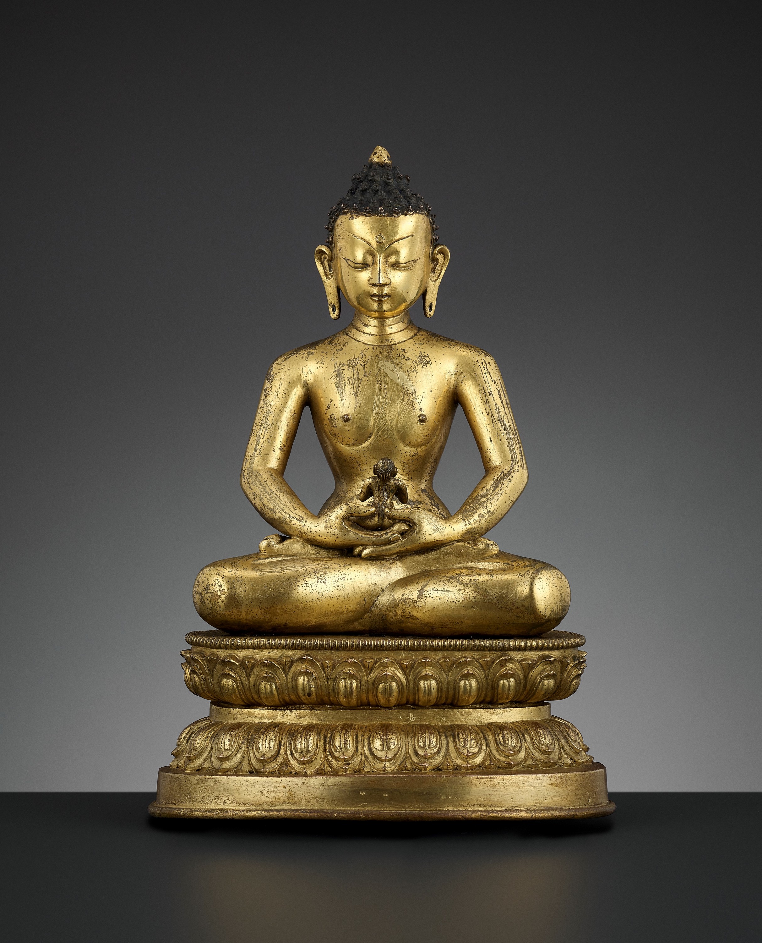 ガネーシャ座∴象 ガネーシャ座∴象 【公式通販】