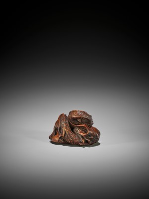 Lot 181 - SHUSEN: A POWERFUL AND LARGE WOOD NETSUKE OF A COILED DRAGON