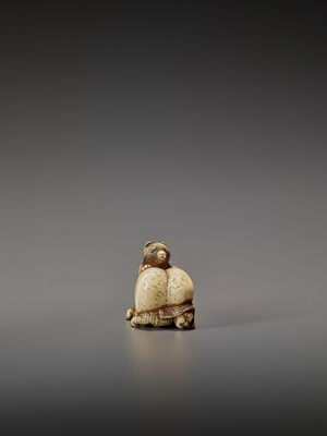Lot 265 - SHUNGETSU: IVORY NETSUKE OF A TANUKI SUFFOCATING A HUNTER WITH HIS SCROTUM