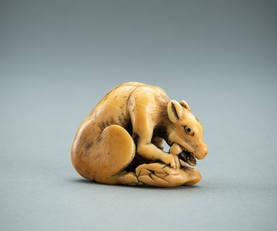 Lot 625 - AN EARLY IVORY NETSUKE OF A WOLF WITH HAUNCH