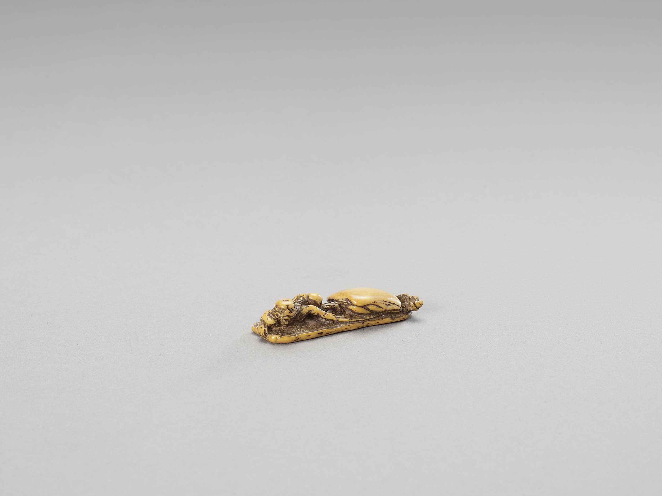 Ɏ A RARE IVORY SHUNGA NETSUKE OF A KAPPA WITH ITS FOOT STUCK IN A CLAM ...