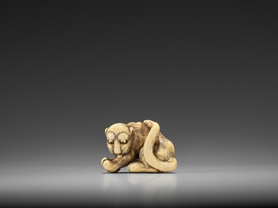 Lot 189 - AN EXCELLENT KYOTO SCHOOL IVORY NETSUKE OF A GROOMING YOUNG TIGER