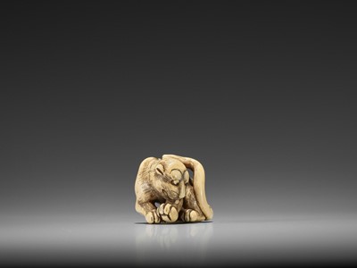 Lot 189 - AN EXCELLENT KYOTO SCHOOL IVORY NETSUKE OF A GROOMING YOUNG TIGER