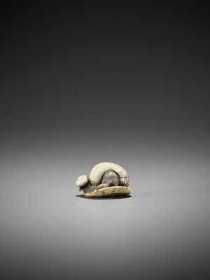 Lot 360 - AN IVORY NETSUKE OF A SQUIRREL AND MUSHROOMS