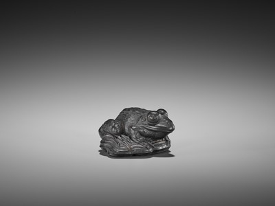 Lot 348 - AN IMPORTANT EBONY WOOD NETSUKE OF A FROG ON DRIFTWOOD ATTRIBUTED TO SEIYODO TOMIHARU