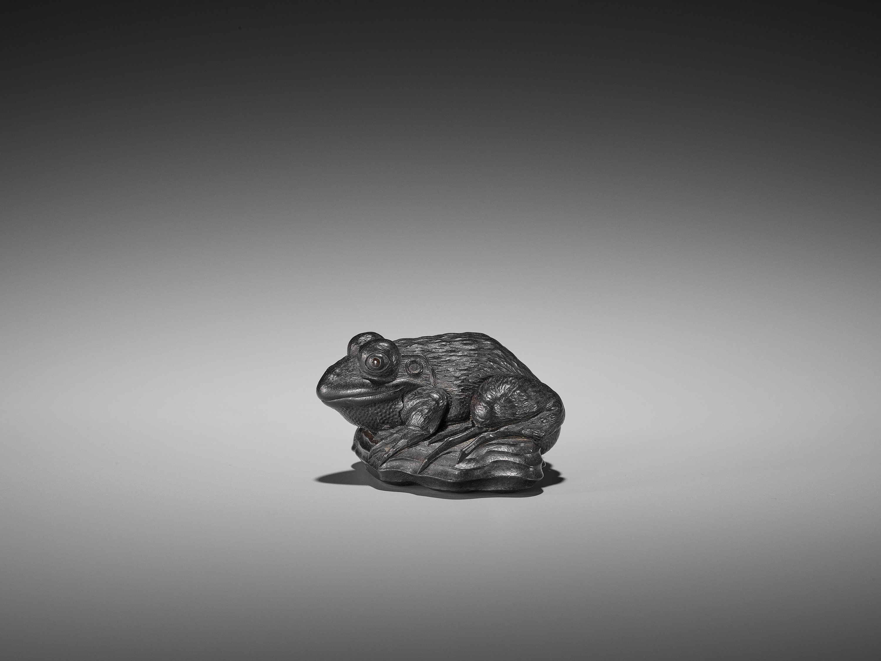 Lot 348 - AN IMPORTANT EBONY WOOD NETSUKE OF A FROG ON