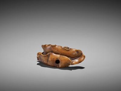 Lot 445 - SEIYODO TOMIHARU: A RARE WOOD NETSUKE OF A SNAIL ON A TARO LEAF