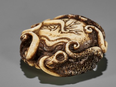 Lot 266 - ISSHIN: A SUPERB STAG ANTLER NETSUKE OF AN ENTANGLED OCTOPUS