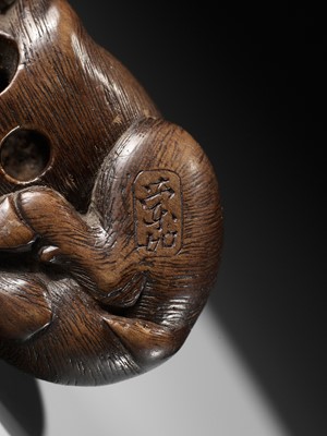 Lot 144 - RANJO: A SUPERB AND RARE WOOD NETSUKE OF A RECUMBENT BOAR