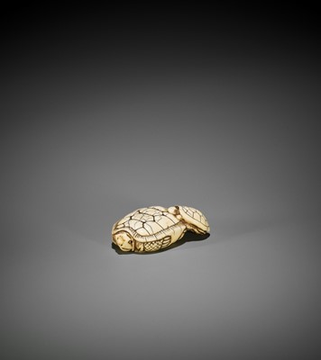 Lot 36 - AN OLD IVORY NETSUKE OF A TURTLE WITH YOUNG