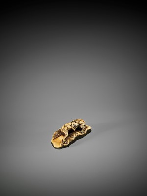 Lot 38 - YOSHITOMO: AN IVORY NETSUKE OF TWO FROGS WRESTLING ON A LOTUS LEAF