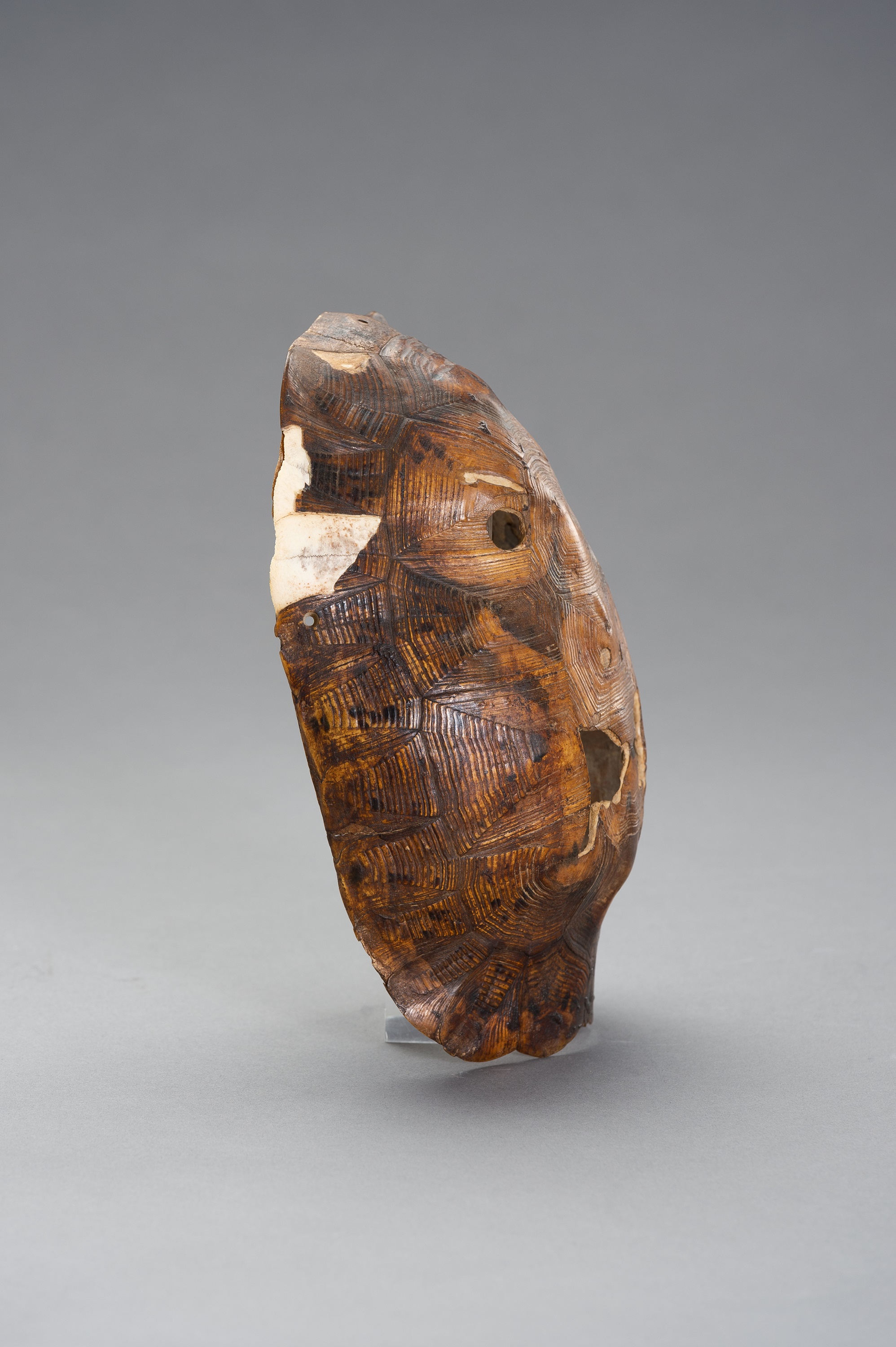 Lot 973 - A HIMALAYAN TURTLE SHELL MASK