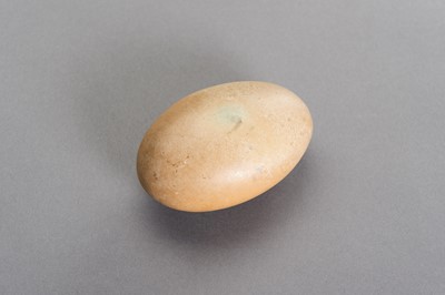Lot 592 - A MOONSHINE STONE ‘EGG’ GLOWING IN THE DARK