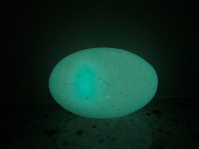 Lot 592 - A MOONSHINE STONE ‘EGG’ GLOWING IN THE DARK