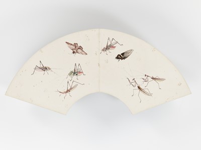 Lot 534 - A FAN-SHAPED PAINTING ALBUM WITH 101 DIFFERENT INSECTS, FIRST HALF OF 20TH CENTURY
