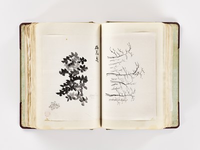 Lot 561 - A RARE BOOK OF STUDIES BY TAMIJI KAWAMURA