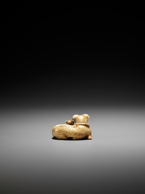 Lot 53 - A SUPERB IVORY NETSUKE OF A FEMALE DOG WITH YOUNG, ATTRIBUTED TO OKATOMO