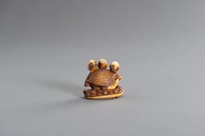 Lot 489 - A RARE OKATOMO SCHOOL IVORY NETSUKE OF A QUAIL ON MILLET WITH YOUNG