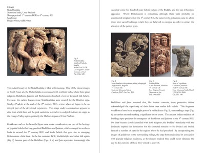 Lot 585 - A PINK SANDSTONE RELIEF DEPICTING A SHALABHANJIKA, MATHURA, SHUNGA PERIOD