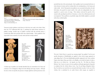 Lot 585 - A PINK SANDSTONE RELIEF DEPICTING A SHALABHANJIKA, MATHURA, SHUNGA PERIOD