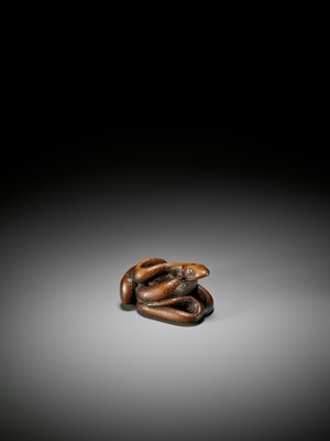 Lot 39 - A LARGE AND POWERFUL WOOD NETSUKE OF A COILED SNAKE