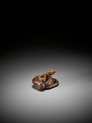 Lot 39 - A LARGE AND POWERFUL WOOD NETSUKE OF A COILED SNAKE