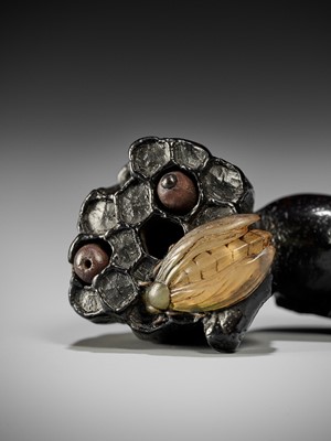 Lot 287 - AN UNUSUAL AND RARE DARK WOOD NETSUKE OF A NASUBI AND WASP NEST