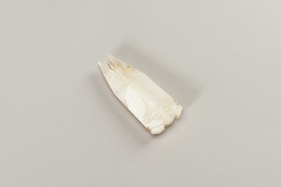 Lot 246 - A HAN-STYLE ARCHAISTIC WHITE JADE OF A CICADA