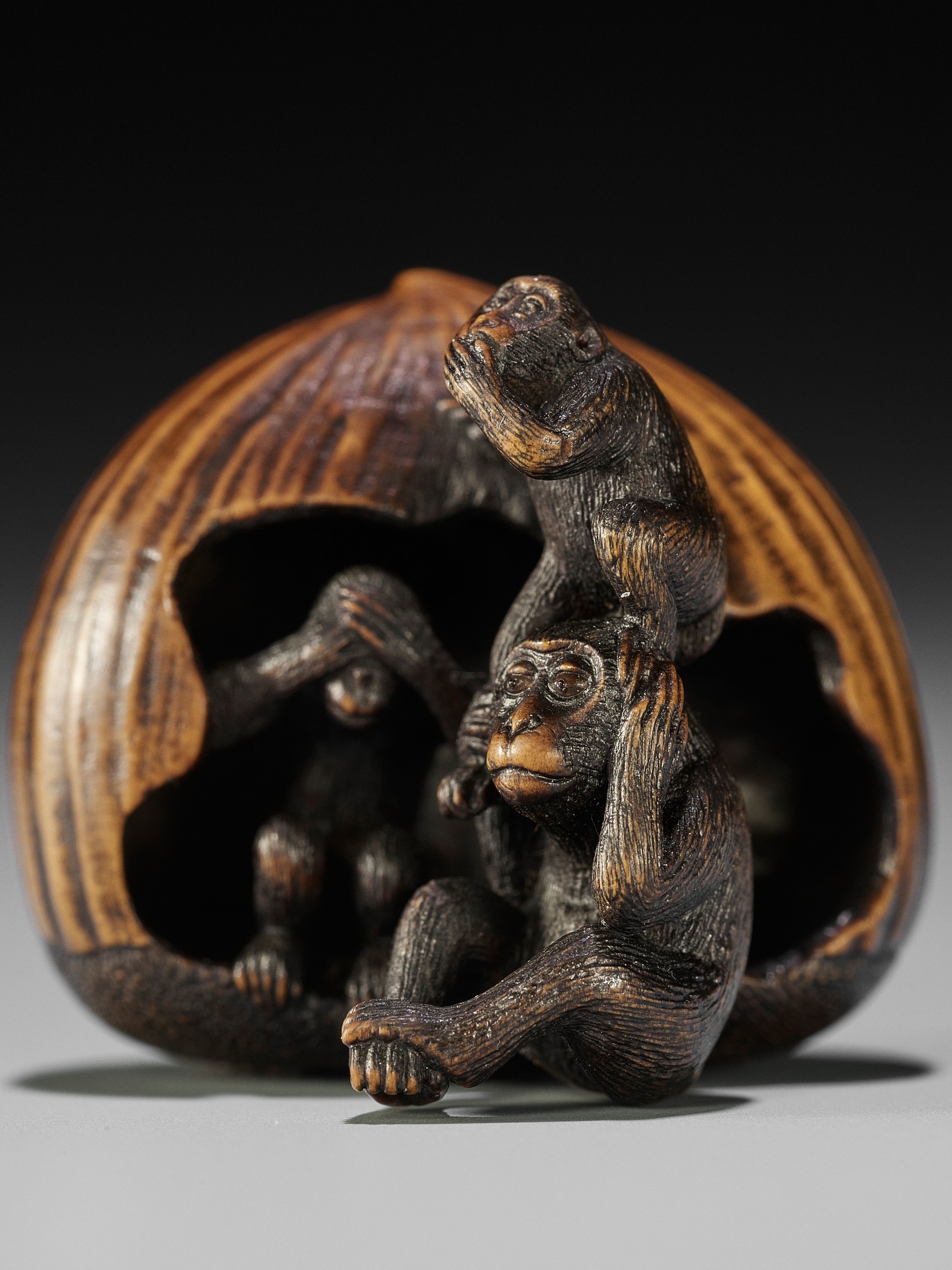 9566-1.jpg?v=63773961859497