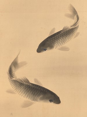 Lot 305 - SEISEN: A SCROLL PAINTING OF CARPS
